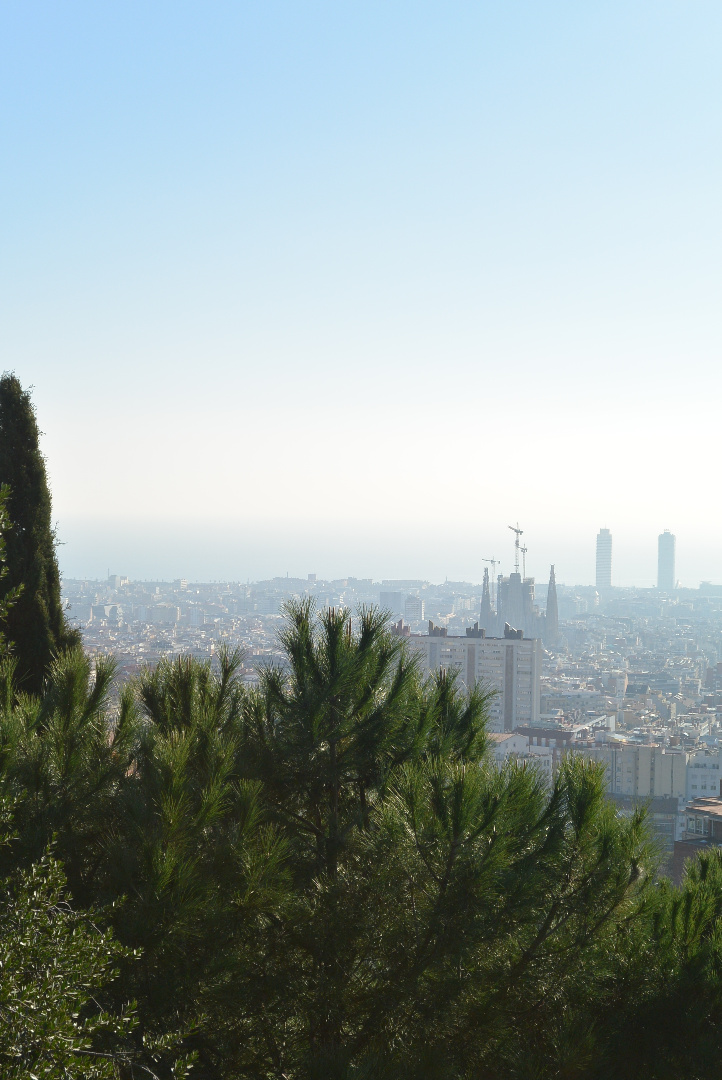 Espagne 261218 301218  202